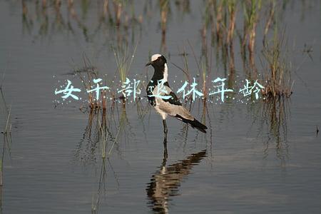 厅级女干部退休年龄(省人大常委会党组书记是什么级别？既有正省级的，也有副省级的)