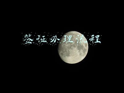 签证办理流程