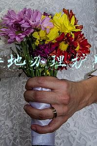 异地办理护照