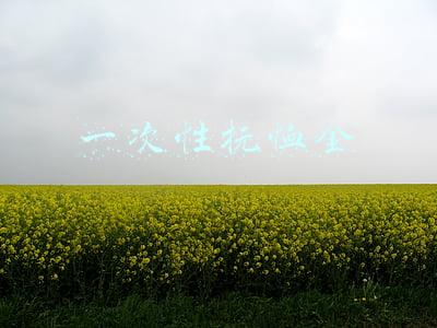 一次性抚恤金享受范围(948240元！2022年一次性工亡补助金标准确定)