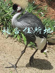 被告住所地