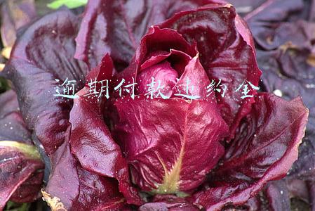 逾期付款违约金