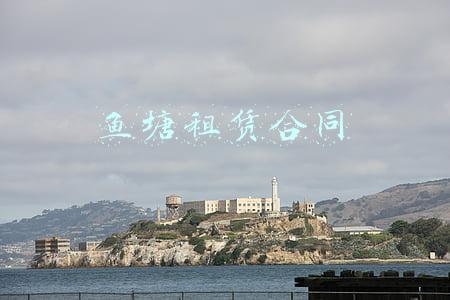 鱼塘租赁合同