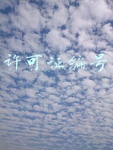许可证编号