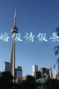 婚假请假条