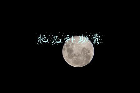托儿补助费