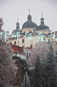 律师证查询