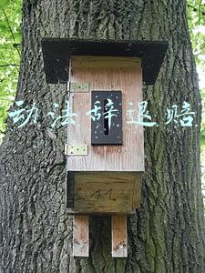 劳动法辞退赔偿2019(干货建议收藏：员工被单位辞退能获得哪些补偿？劳动法规定有这些)
