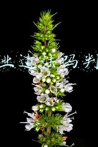 老师写作业违法吗判几年(在职教师违规从事校外培训 一律“零容忍”)