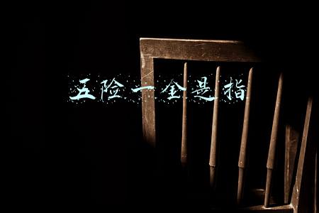 五险一金是指
