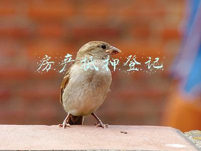 房产抵押登记