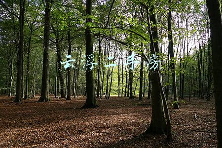 云浮二手房