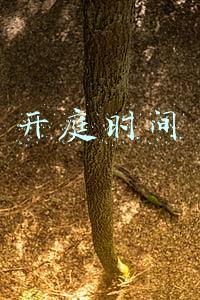 开庭时间