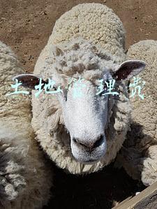 土地管理费和土地出让金的区别(造价工程师《工程计价》辅导讲义：用地与工程准备费)