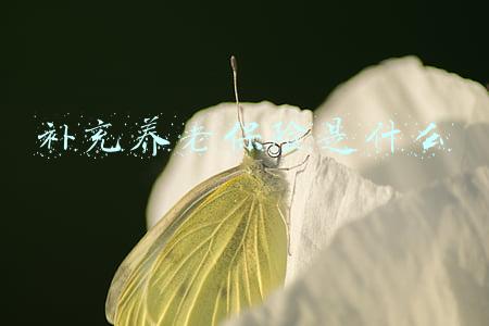 补充养老保险是什么