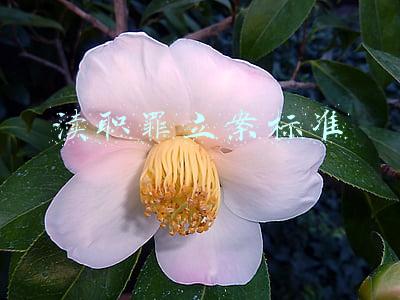 渎职罪立案标准