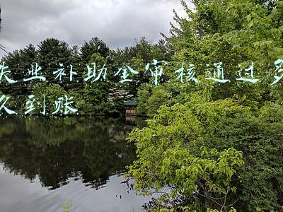 失业补助金审核通过多久到账
