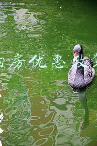 成都购房优惠政策(关于成都购房政策的热点问答)
