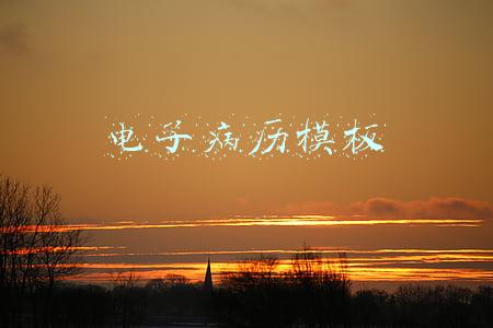 电子病历模板