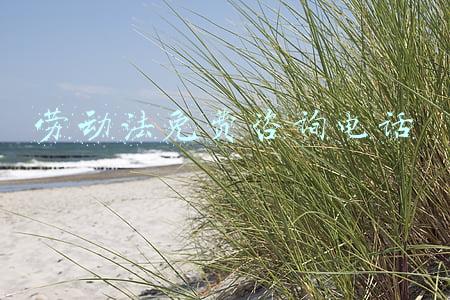 劳动法免费咨询电话