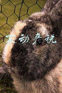 不动产税