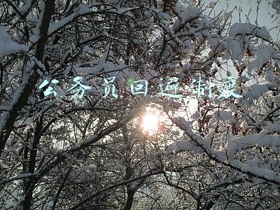 公务员回避制度规定(公务员法及配套法规解读⑬｜公务员回避规定，一起来了解)