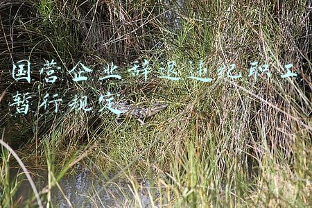 国营企业辞退违纪职工暂行规定