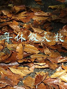 年休假天数