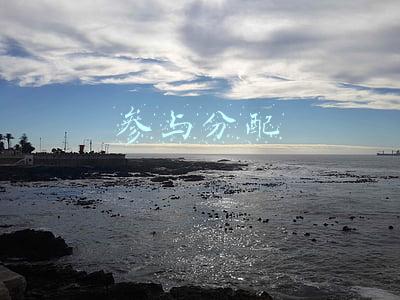 参与分配