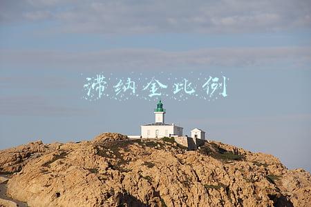 滞纳金比例