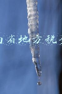 湖南省地方税务局公告2015年第4号(湖南省财政厅 国家税务总局湖南省税务局关于调整2020年度湖南省“互联网+发票有奖”活动有关事项的公告)