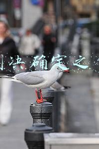 判决宣告之日和判决确定之日(民法典解析·死亡日期)