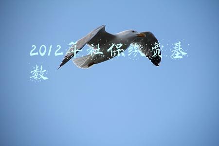2012年社保缴费基数