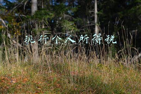 现行个人所得税
