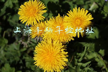 上海车辆年检地址电话(金山这里新增一家机动车验车点！再也不用跑那么远啦)