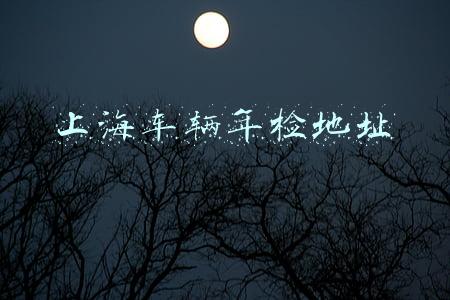 上海车辆年检地址