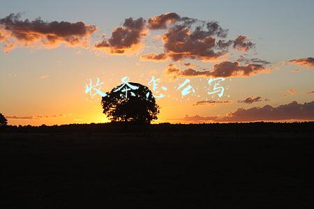 收条怎么写