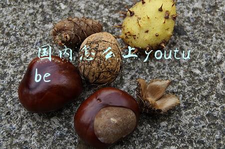 国内怎么上youtube