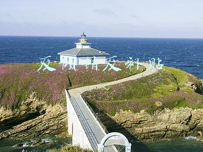 反倾销和反补贴的区别(“非市场经济地位”只是美国打压中国的幌子)
