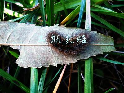 工期索赔