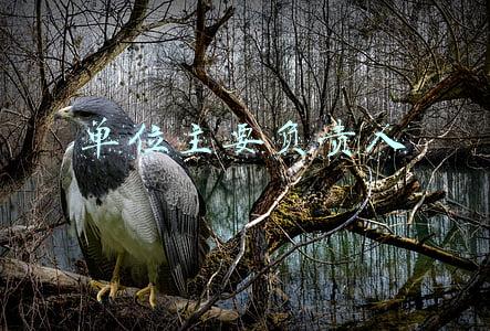 单位主要负责人
