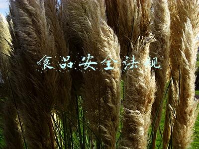 食品安全法规