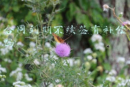 合同到期不续签有补偿吗