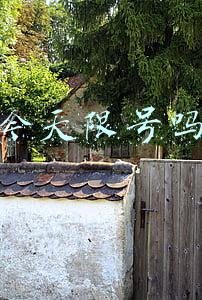 今天限号吗