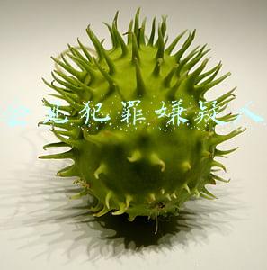 会见犯罪嫌疑人