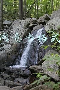 同意书格式
