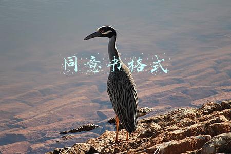 同意书格式