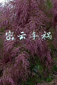 密云车祸