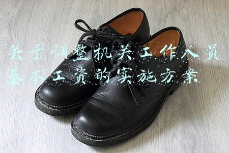 关于调整机关工作人员基本工资的实施方案