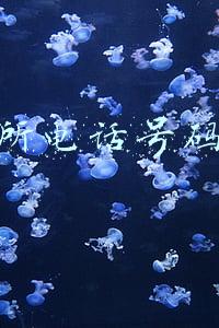 派出所电话号码查询